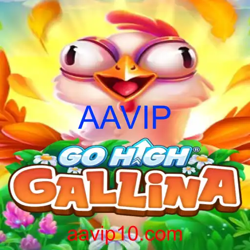 GoHighGallina